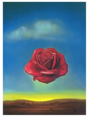 Affiche Art Salvador Dali Rose Meditative 60x80cm SD 883 | Yourdecoration.fr