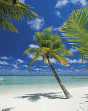 Komar Ari Atoll Papier Peint 184x254cm | Yourdecoration.fr