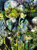 Komar Aphrodite's Garden Papier Peint 184x254cm | Yourdecoration.fr