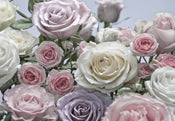 Komar Floraison Papier Peint 368x254cm | Yourdecoration.fr