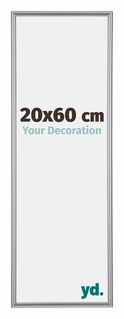 Annecy Plastique Cadre Photo 20x60cm Argent De Face Mesure | Yourdecoration.fr