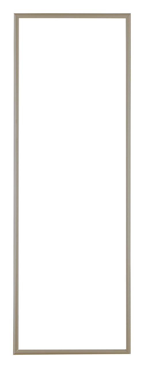 Austin Aluminium Cadre Photo 20x60cm Champagne De Face | Yourdecoration.fr