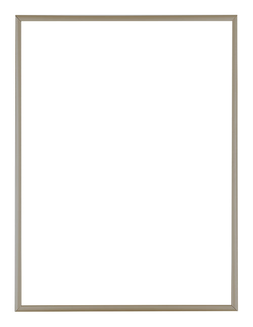 Austin Aluminium Cadre Photo 60x80cm Champagne De Face | Yourdecoration.fr
