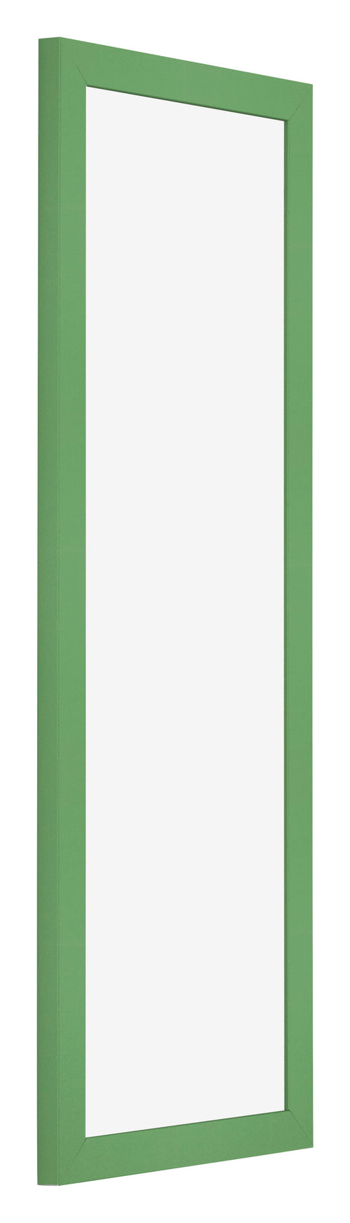 Cadre Photo 20x60cm Vert MDF Bologna De Face Oblique | Yourdecoration.fr