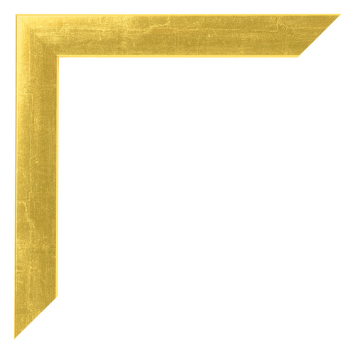Cadre Photo 50x100cm Or Vintage MDF Pisa Detail Coin | Yourdecoration.fr