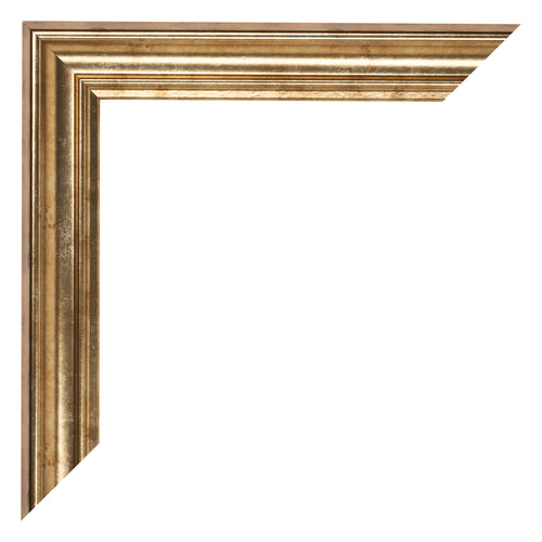 Cadre Photo 68x98cm Or Antique MDF Lazio Detail Coin | Yourdecoration.fr