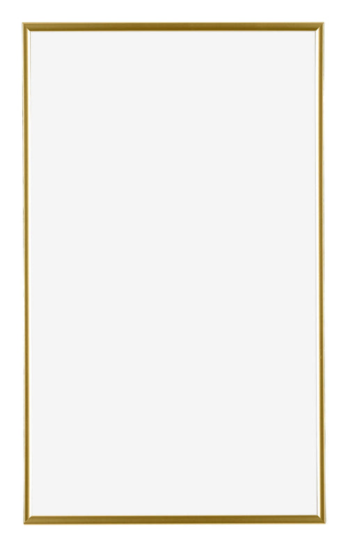 Evry Plastique Cadre Photo 30x50cm Or De Face | Yourdecoration.fr