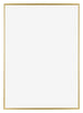 Evry Plastique Cadre Photo 67x98cm Or De Face | Yourdecoration.fr