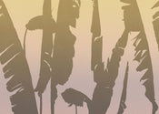 Papier Paint Bahama Bananas 350x250cm FLX7 018 | Yourdecoration.fr