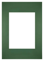 Passe Partout 20x28cm Carton Vert Foret Bord Droit De Face | Yourdecoration.fr