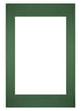Passe Partout 40x60cm Carton Vert Foret Bord Droit De Face | Yourdecoration.fr