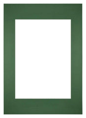 Passe Partout 59 4x84cm A1 A2 Carton Vert Foret Bord Droit De Face | Yourdecoration.fr