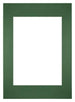 Passe Partout 59 4x84cm A1 A2 Carton Vert Foret Bord Droit De Face | Yourdecoration.fr