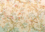 Komar Oiseau de Paradis Papier Peint Intissé 350x255cm 7 bandes | Yourdecoration.fr
