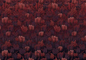 Komar Tulipe Papier Peint Intissé 400x280cm 8 bandes | Yourdecoration.fr
