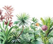 Komar Intisse Papier Peint Iax6 0007 Terrain | Yourdecoration.fr