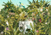 Komar Intisse Papier Peint Iax8 0002 Jungle Expedition | Yourdecoration.fr