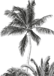 Komar Intisse Papier Peint Iax4 0011 Retro Palm  | Yourdecoration.fr