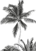Komar Intisse Papier Peint Iax4 0011 Retro Palm  | Yourdecoration.fr