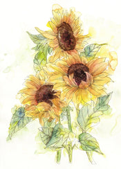 Komar Intisse Papier Peint X4 1008 Girasol | Yourdecoration.fr