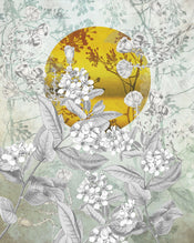 Komar Intisse Papier Peint X4 1020 Karma | Yourdecoration.fr
