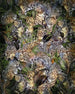 Komar Intisse Papier Peint X4 1046 Wild Cats | Yourdecoration.fr