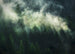 Komar Intisse Papier Peint X7 1003 Misty Crowns | Yourdecoration.fr