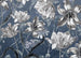 Komar Intisse Papier Peint X7 1041 Merian Blue | Yourdecoration.fr