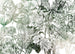Komar Intisse Papier Peint X7 1045 Valerie | Yourdecoration.fr
