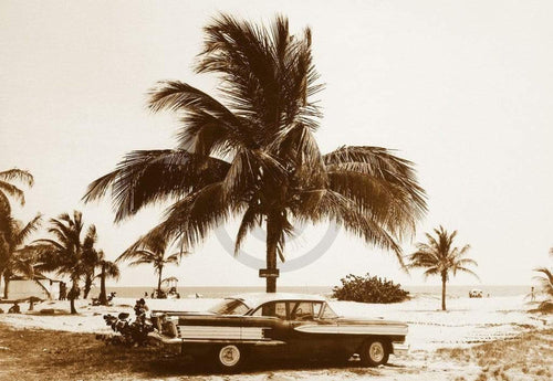 Barbara Dombrowski  Havanna III affiche art 70x50cm | Yourdecoration.fr