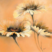 Elena Filatov  Apricot Summer I affiche art 70x70cm | Yourdecoration.fr