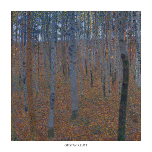 Gustav Klimt  Faggeto affiche art 70x70cm | Yourdecoration.fr
