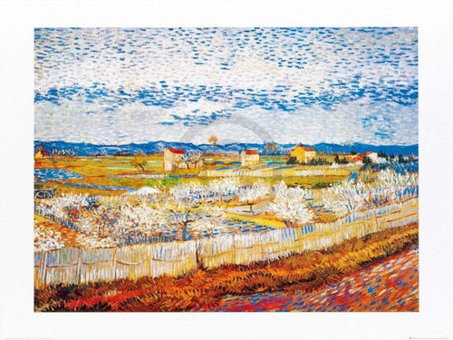 Vincent Van Gogh  Pesco in fiore affiche art 80x60cm | Yourdecoration.fr