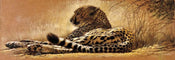 Renato Casaro  Little rest affiche art 99x34cm | Yourdecoration.fr