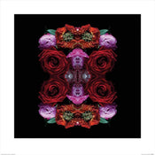 Pyramid Alyson Fennell Paradise of Petals affiche art 60x60cm | Yourdecoration.fr