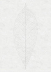 Komar Decent Leaf Papier Peint Intissé 200x280cm 2 bandes | Yourdecoration.fr