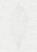 Komar Decent Leaf Papier Peint Intissé 200x280cm 2 bandes | Yourdecoration.fr