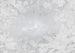 Komar Flora Papier Peint Intissé 400x280cm 8 bandes | Yourdecoration.fr