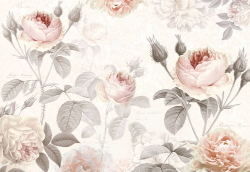 Komar La Maison Papier Peint Intissé 368x248cm | Yourdecoration.fr