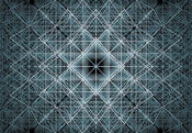 Komar Matrix Papier Peint Intissé 368x248cm | Yourdecoration.fr