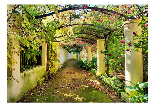Papier Peint - Pergola - Intissé