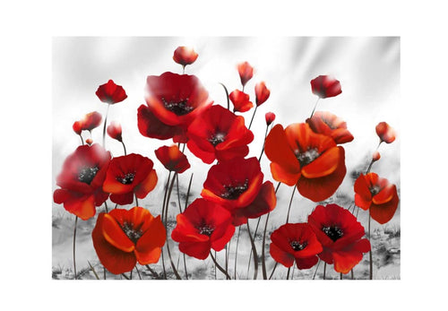 Papier Peint - Poppies in the Moonlight - Intissé