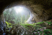 Wizard+Genius Cave In The Forest Papier Peint Intissé 384x260cm 8 bandes | Yourdecoration.fr