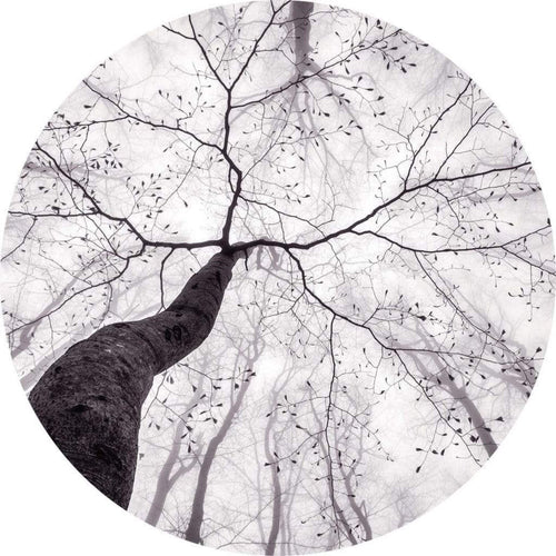Wizard+Genius Inside the Trees Papier Peint Intissé 140x140cm rond | Yourdecoration.fr