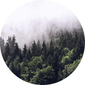 Wizard+Genius Foggy Forest Papier Peint Intissé 140x140cm rond | Yourdecoration.fr