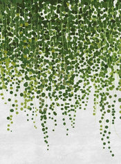 Wizard+Genius Hanging Plants Papier Peint Intissé 192x260cm 4 bandes | Yourdecoration.fr