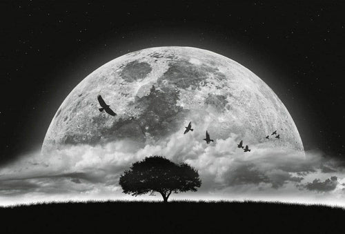 Wizard+Genius Moon and Birds Papier Peint Intissé 384x260cm 8 bandes | Yourdecoration.fr