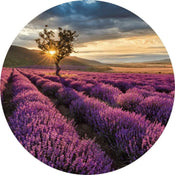 Wizard+Genius Lavender in the Provence Papier Peint Intissé 140x140cm rond | Yourdecoration.fr