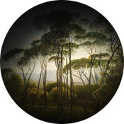 Wizard+Genius Umbrella Pines Papier Peint Intissé 140x140cm rond | Yourdecoration.fr