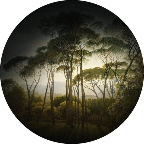 Wizard+Genius Umbrella Pines Papier Peint Intissé 140x140cm rond | Yourdecoration.fr
